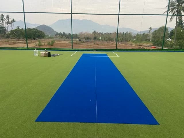 Cricket court