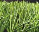 50mm Artificial grass